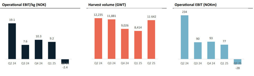 Low salmon prices led to a £2m operating loss for SSF in Q2 despite good fish health. SSF made an operating profit of NOK 234m (approx. £17m) in Q2 last year, when prices were higher.