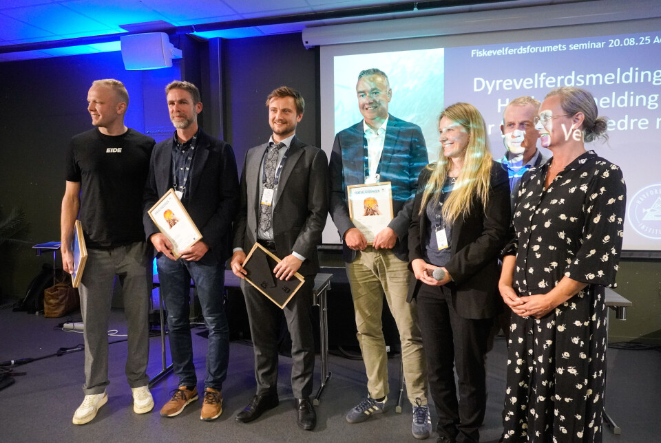 This year, the Fish Welfare Award was shared between AkvaFuture and Cermaq, Eide and SalMar.