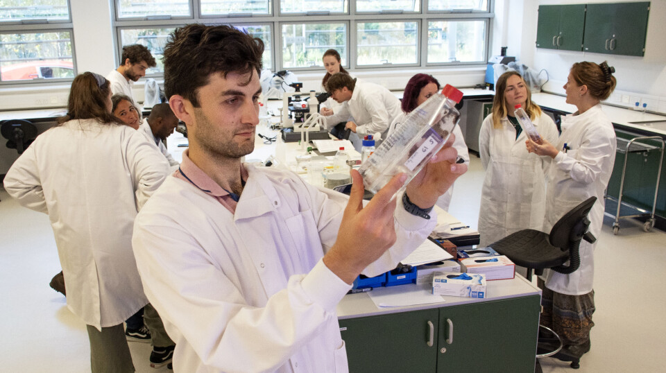 SAMS Seaweed Nursery manager Rob Grisenthwaite examines a seaweed sample during a practical lab session.
