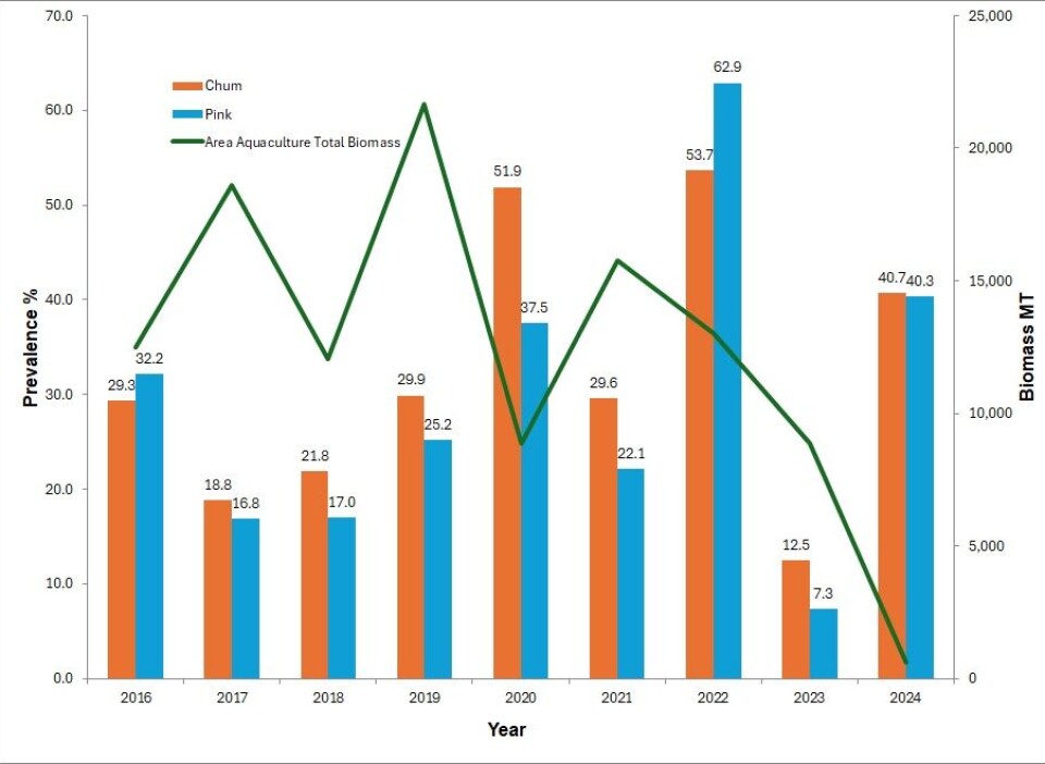 Figure 1. Prevalence of sea lice (percentage of fish with sea lice) on wild juvenile chum and pink salmon compared to total aquaculture biomass from 2016 to 2024 in the Broughton Archipelago.