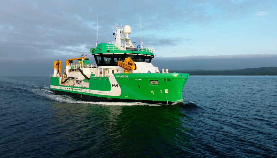 The vessel is 50 meters long and 12 meters wide.