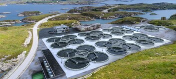 £8.5m raised for first phase of on-land salmon farm