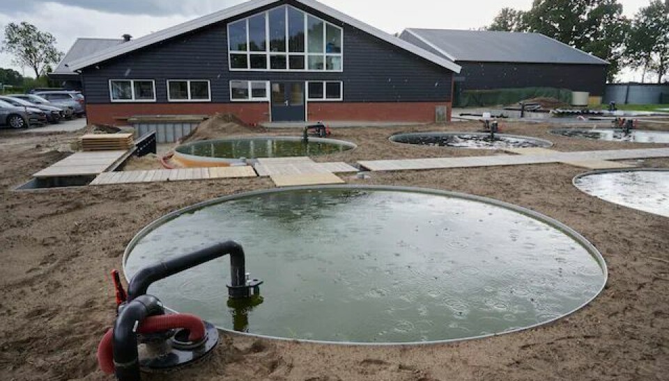 The converted pig stables are now producing farmed salmon for the domestic market.