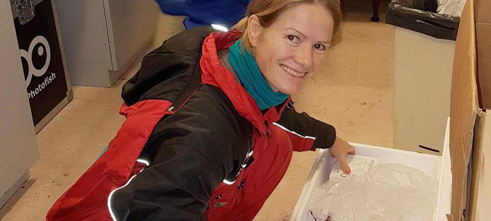 New research shows key role of nutrients in salmon health