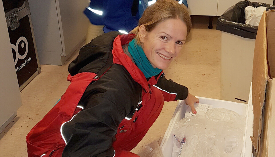 Nofima scientist Nini Sissener investigated the impact of today’s plant-dominated feed.