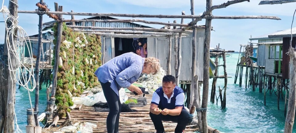 Global workshop seeks climate solutions for seaweed farmers