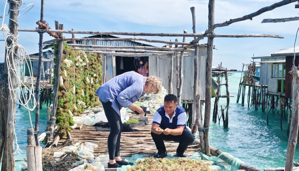 Prof Juliet Brodie of the Natural History Museum meets with Malaysian seaweed farmers.