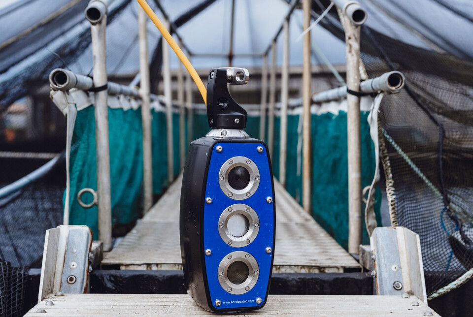 Ace Aquatec's A-BIOMASS camera has impressed in trials with Petuna in Tasmania.