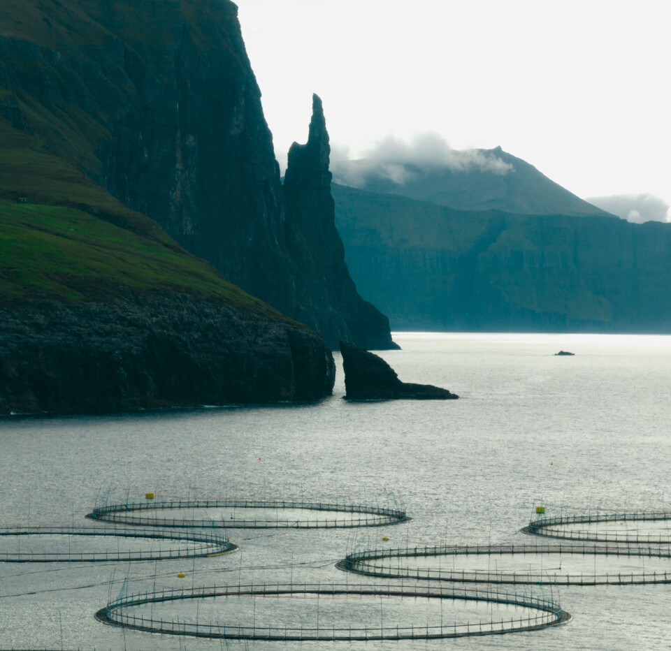 A Hiddenfjord farm site in the Faroes.