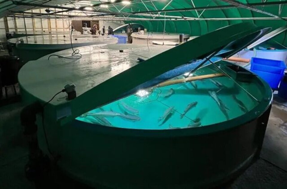 One of the 25m³ tanks in the MAIC facility at Loch Fyne.
