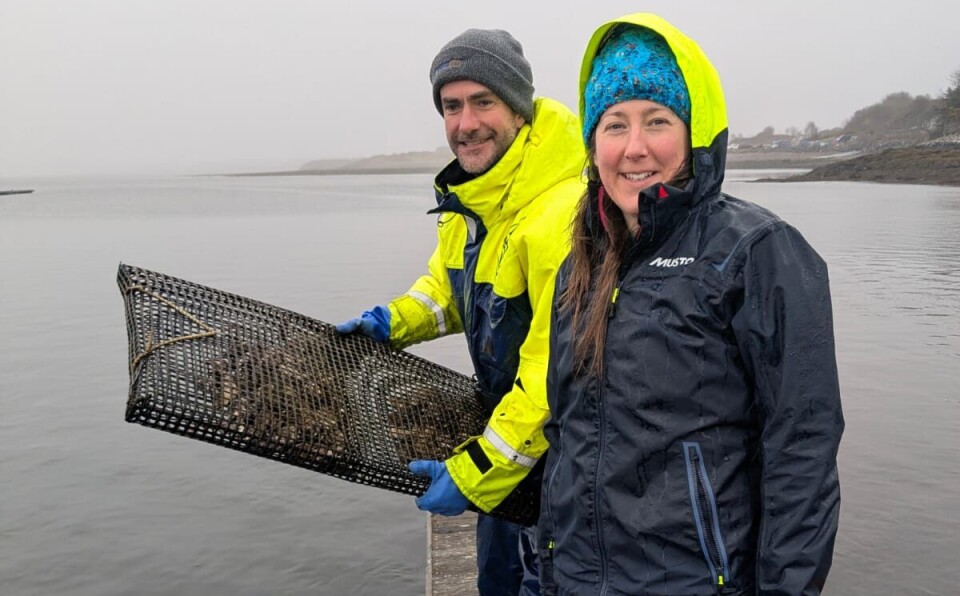 From left: Dr Tom Ashton, from Native Aqua, and Dr Victoria Sleight, from the University of Aberdeen, with an oyster basket.