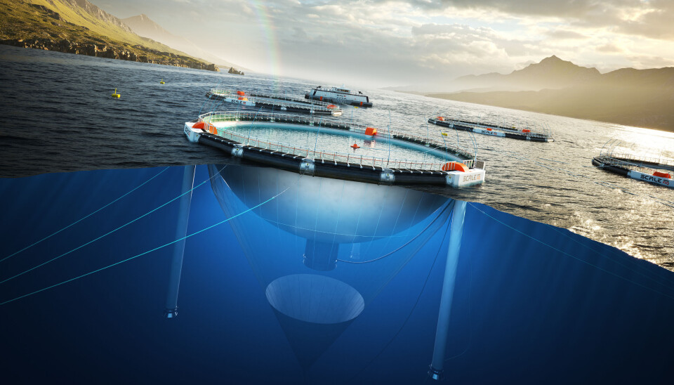 ScaleAQ says that its Heimdall concept meets all requirements of Norway's environmental flexibility scheme.