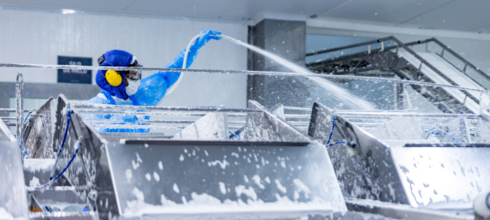 SHS: la empresa que lidera la higiene en plantas salmonicultoras de Chile