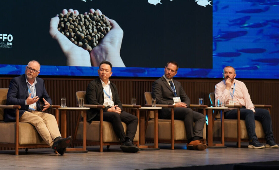 From left: Brett Glencross, Oscar Tjakra, Christopher Free, and Matt Longshaw take part in a panel discussion at the IFFO conference last week.