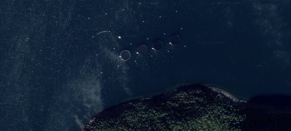 Beholder lokalitet i Alta