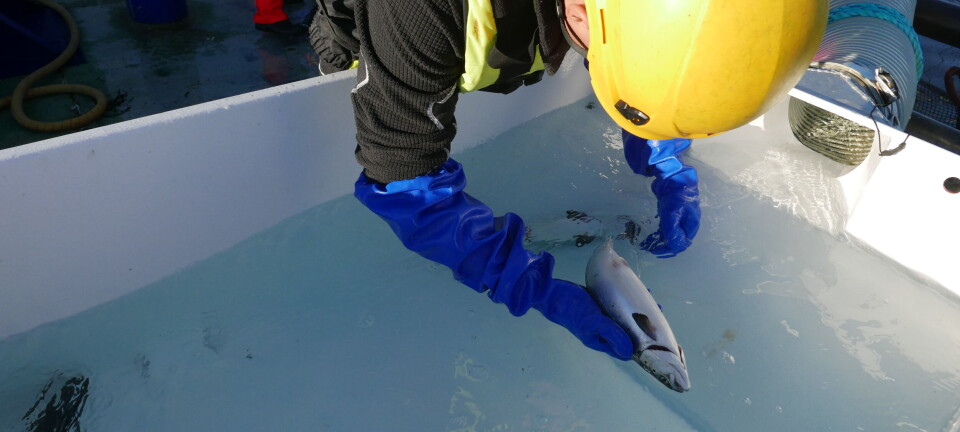 Kan teknologi gi mer presis og skånsom kontroll?