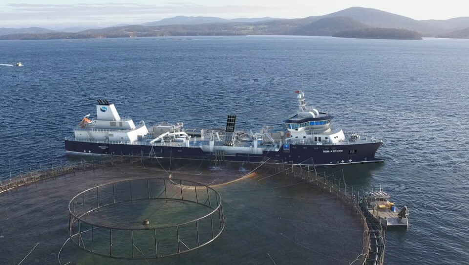 This is how the Ronja Storm is envisaged to look in the service of Huon Aquaculture. Image: Havyard.