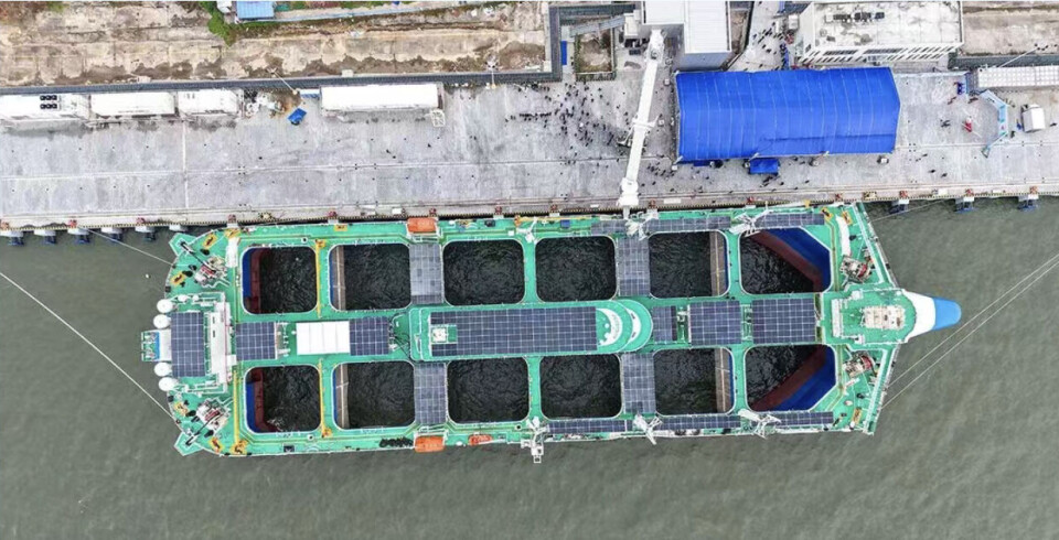 Fish Farming Platform China sets sights on high seas fish farming with 'aquaculture platform'