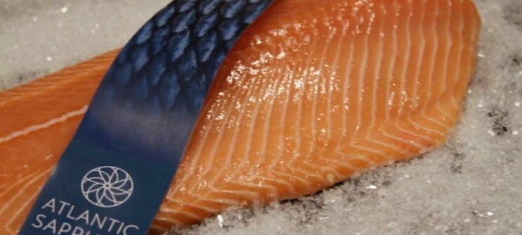 Atlantic Sapphire made $11 per kilo for US-grown salmon