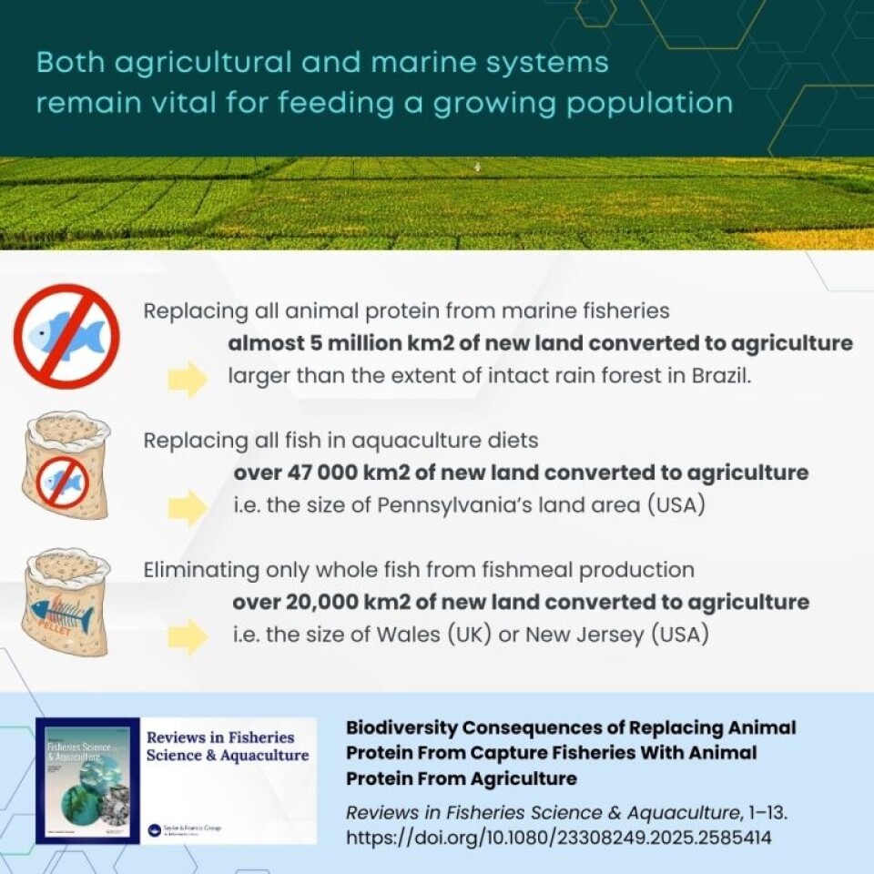 Taking fish out of feed 'may do more harm than good'