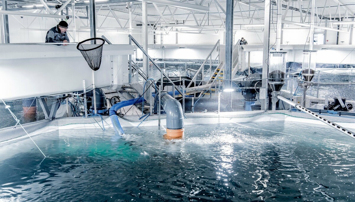 Cflow Akva AKVA group almost doubled operating profit in Q4