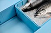 Hel laks på is i blå gjenbrukskasse i plast.