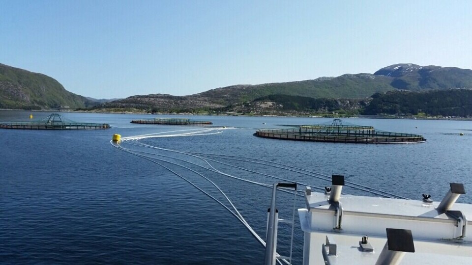 One of K Strømmen Lakseoppdrett's farms in Bremanger municipality. Photo: KSL.