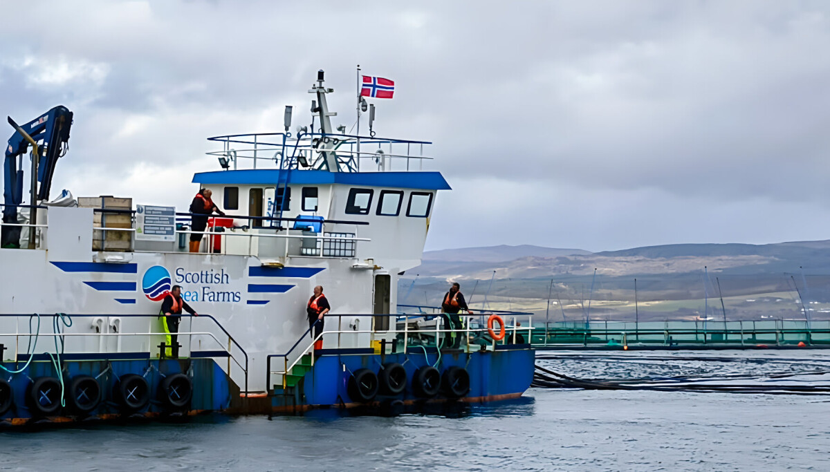 Scott Fish Developer New ocean modelling option launched for Scottish fish farmers