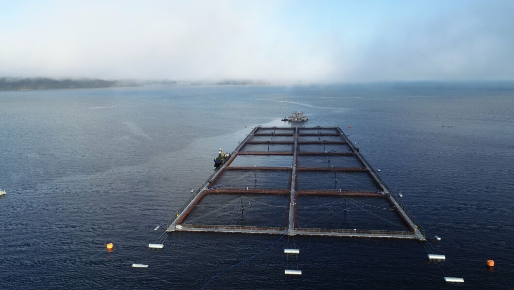 A Mowi salmon farm in Chile. The company has lost the latest round of a fight to keep what it says is commercially sensitive information out of the public eye. A Mowi salmon farm in Chile. The company has lost the latest round of a fight to keep what it says is commercially sensitive information out of the public eye.