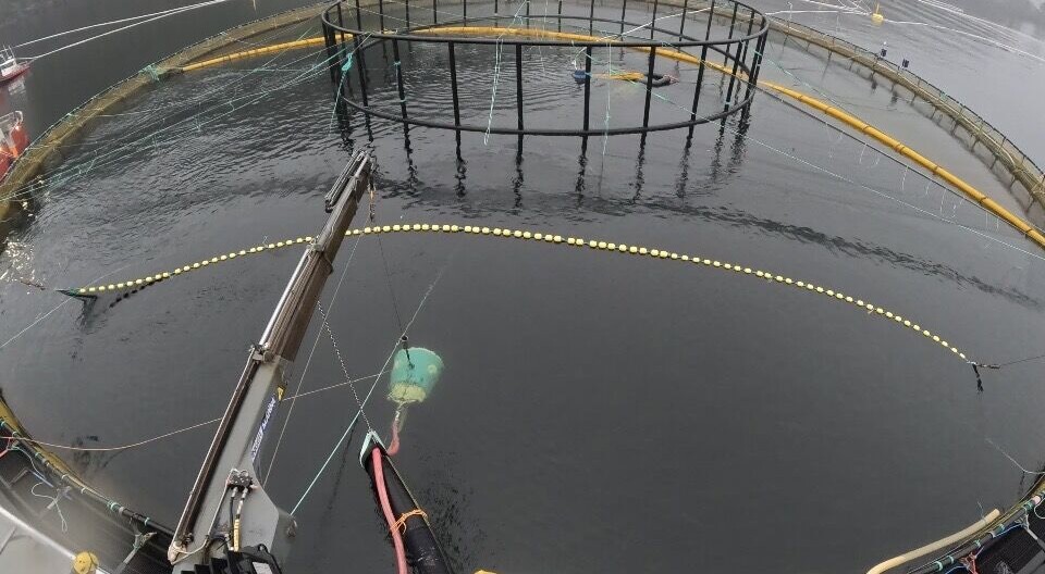 First contract signed for innovative SmoothMove fish loading device