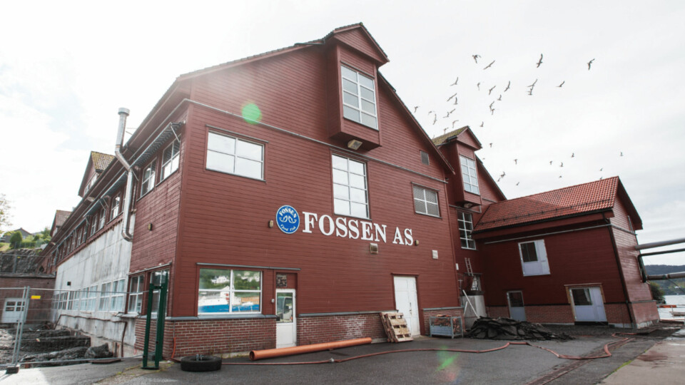 The Lerøy Fossen trout processing plant will remain closed for the time being. Photo: Lerøy / Marius Fiskum.