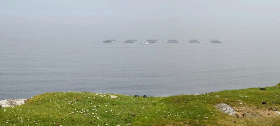 Fish farm sunk by path used by 5.4 people a day