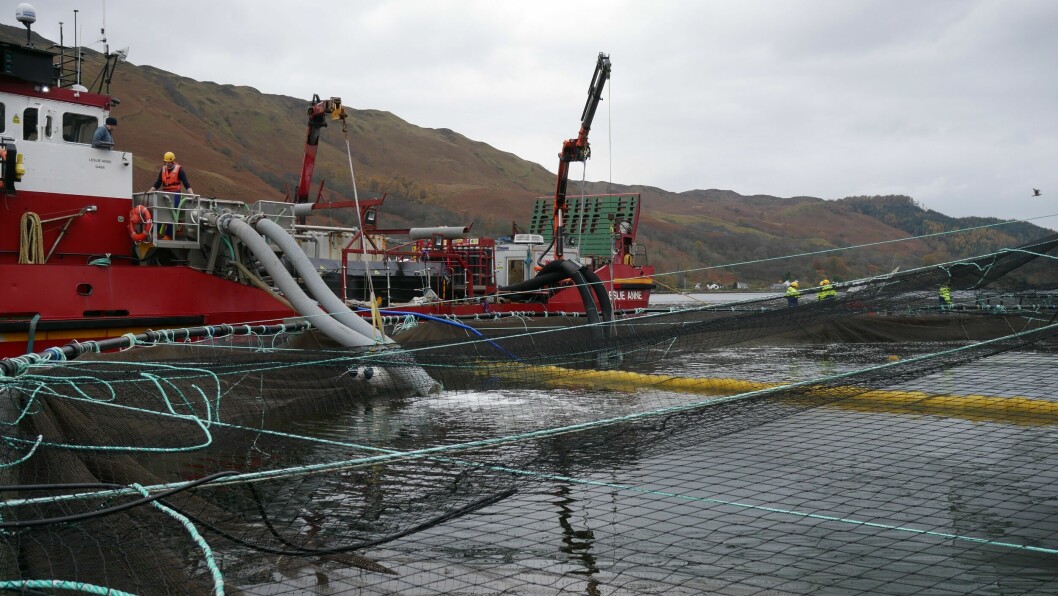 File photo of a Hydrolicer being used on a Scottish farm. Fish farmers kept the average number of adult female lice on fish down to 0.52 last year. Photo: FFE.