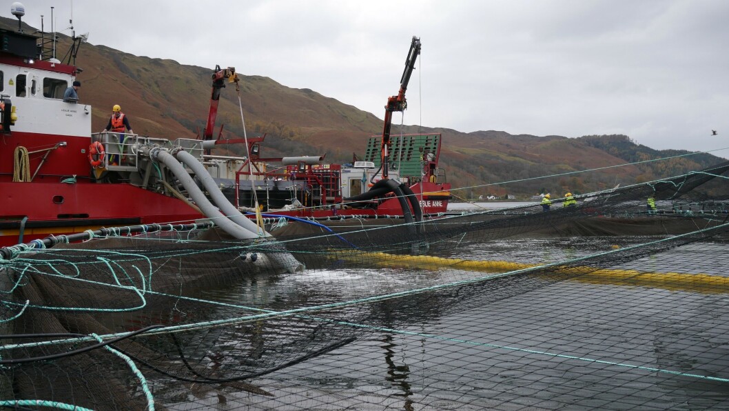 File photo of a Hydrolicer being used on a Scottish farm. Fish farmers kept the average number of adult female lice on fish down to 0.52 last year. Photo: FFE. File photo of a Hydrolicer being used on a Scottish farm. Fish farmers kept the average number of adult female lice on fish down to 0.52 last year. Photo: FFE.