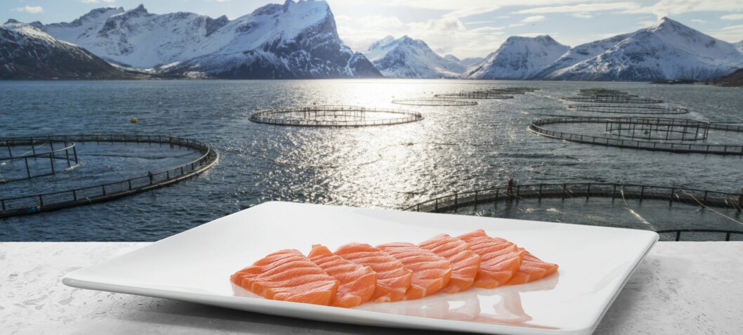 Bumper month for Norwegian salmon exports