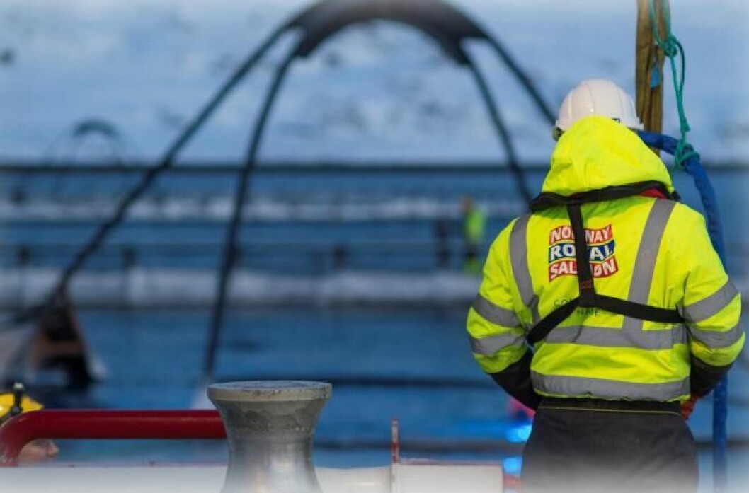 Norway Royal Salmon's profits were dented by ISA. Photo: NRS Norway Royal Salmon's profits were dented by ISA. Photo: NRS