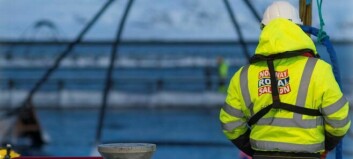 Takeover bid price is too low, say Norway Royal Salmon directors
