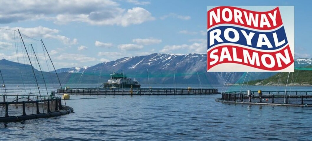 NTS aims for 100,000 tonnes with £516m offer for Norway Royal Salmon