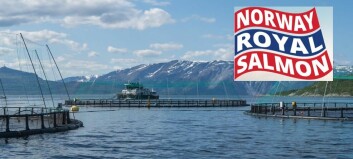 Norway Royal Salmon ‘financially strong’ despite steep Q4 EBIT drop
