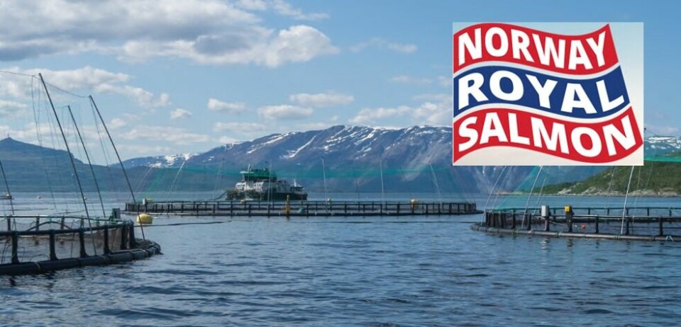 Norway Royal Salmon's board is proposing a dividend of NOK 3.00 per share for 2020. Photo: NRS.