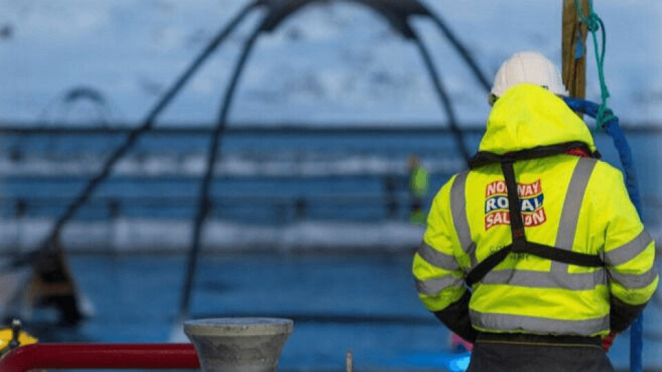 Norway Royal Salmon has sold its southern Norway operation to a consortium of three other salmon farmers. Photo: NRS.