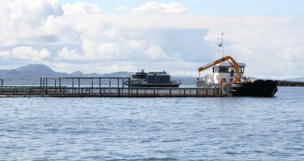 Mowi Scotland's salmon farm at Muck in the Western Isles, one of the areas affected by micro-jellyfish blooms. Mowi Scotland's salmon farm at Muck in the Western Isles, one of the areas affected by micro-jellyfish blooms.