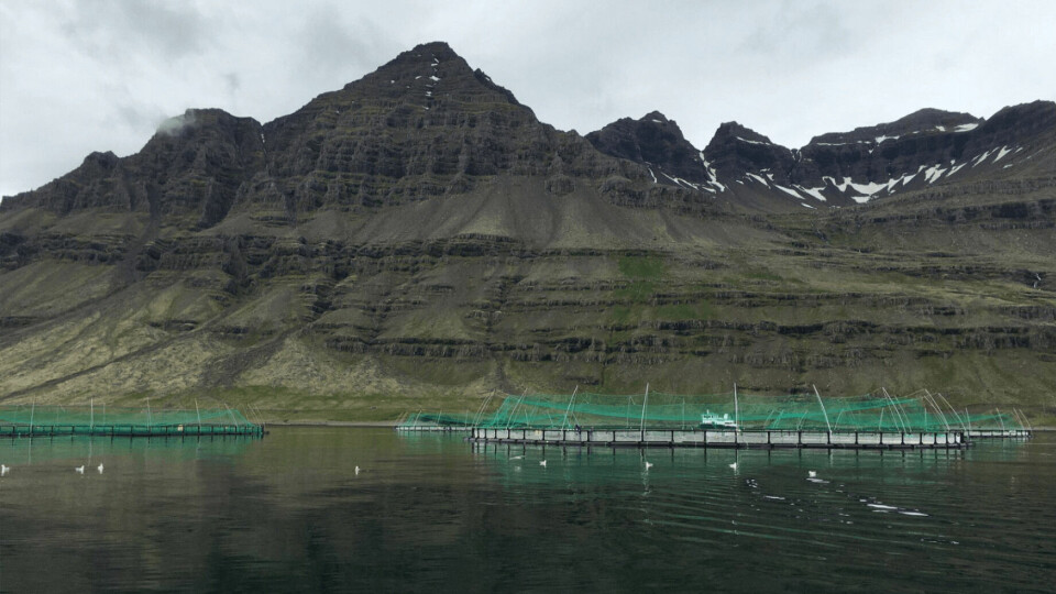 An Ice Fish Farm site in Iceland. NTS has swapped its shares in the company for a bigger stake in Norway Royal Salmon.