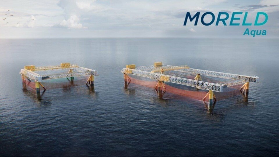 Offshore salmon farm plan backed by industrial group