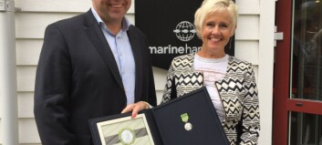 Marine Harvest executive Solberg steps down