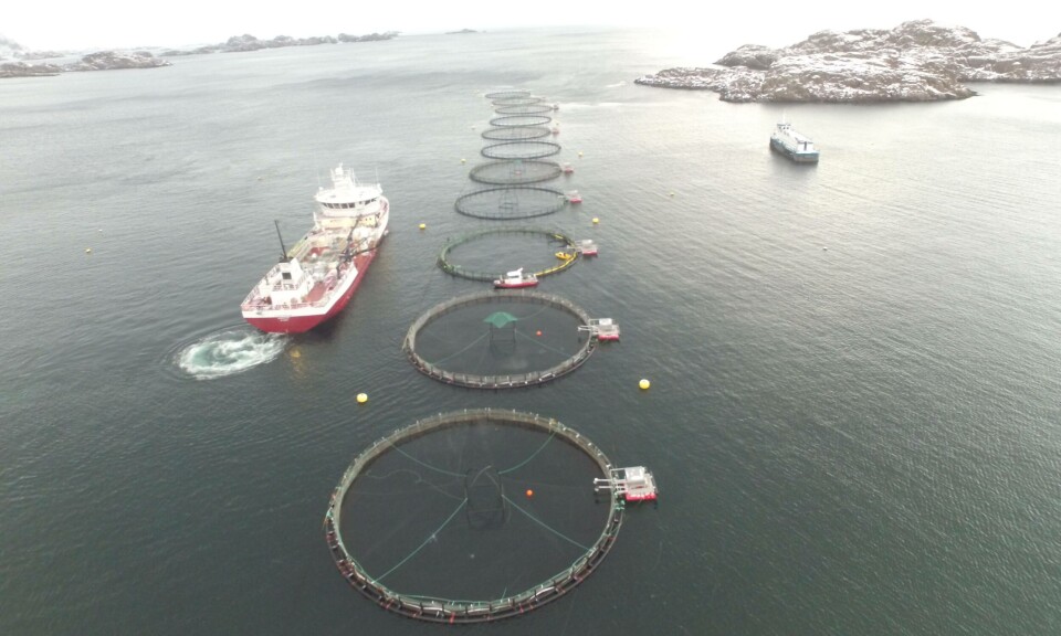 One of Isqueen's salmon farms in the Lofoten area.