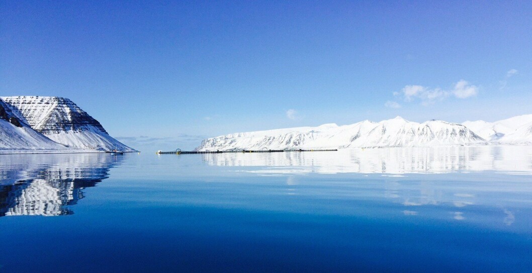 Arnarlax is the biggest salmon farmer in Iceland. Arnarlax is the biggest salmon farmer in Iceland.