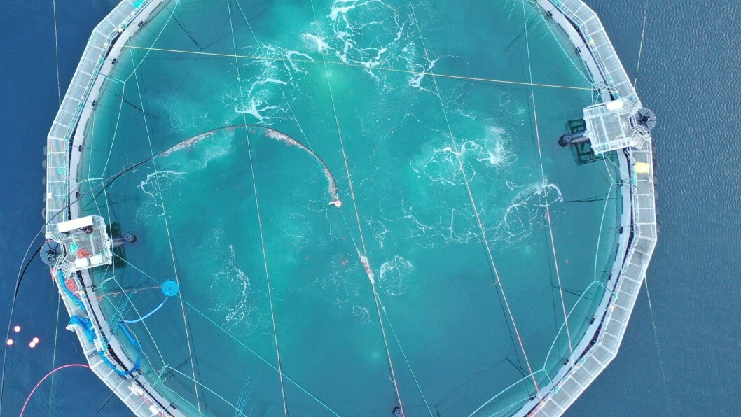 Cermaq Canada's semi-closed containment system has been stocked with nearly half a million smolts. Photo: Sam Chen / Cermaq Canada. Cermaq Canada's semi-closed containment system has been stocked with nearly half a million smolts. Photo: Sam Chen / Cermaq Canada.