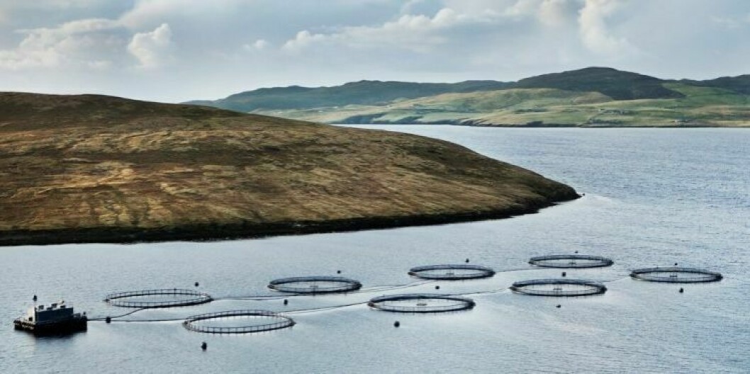 A Grieg salmon farm in Shetland, where the company is concentrating its UK operations after closing down its Skye sites.