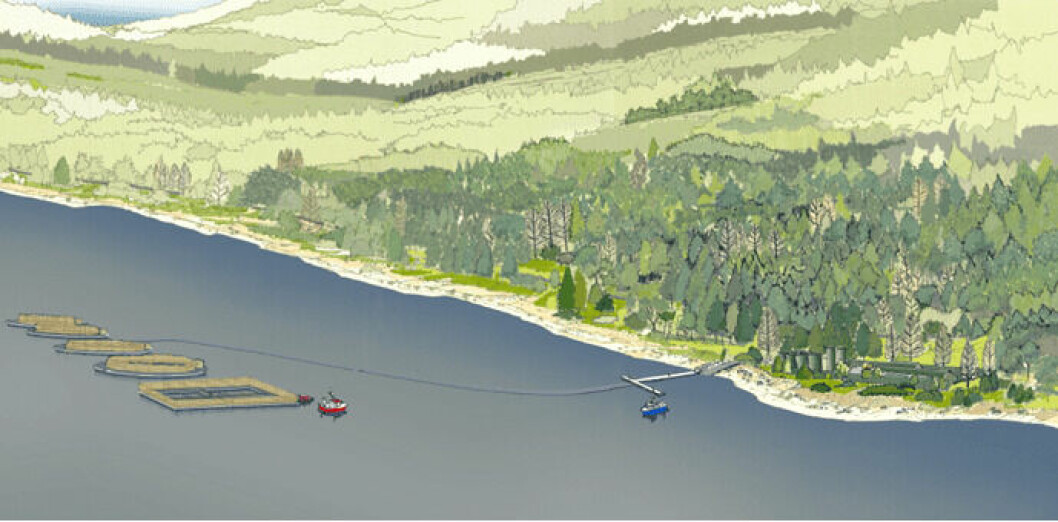 An illustration of Loch Long Salmon's proposed semi-closed containment fish farm. Image: LLS.